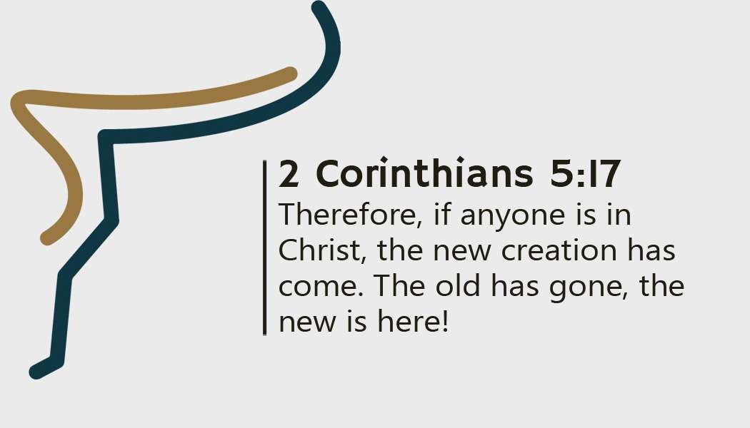 Scripture Card back rev2