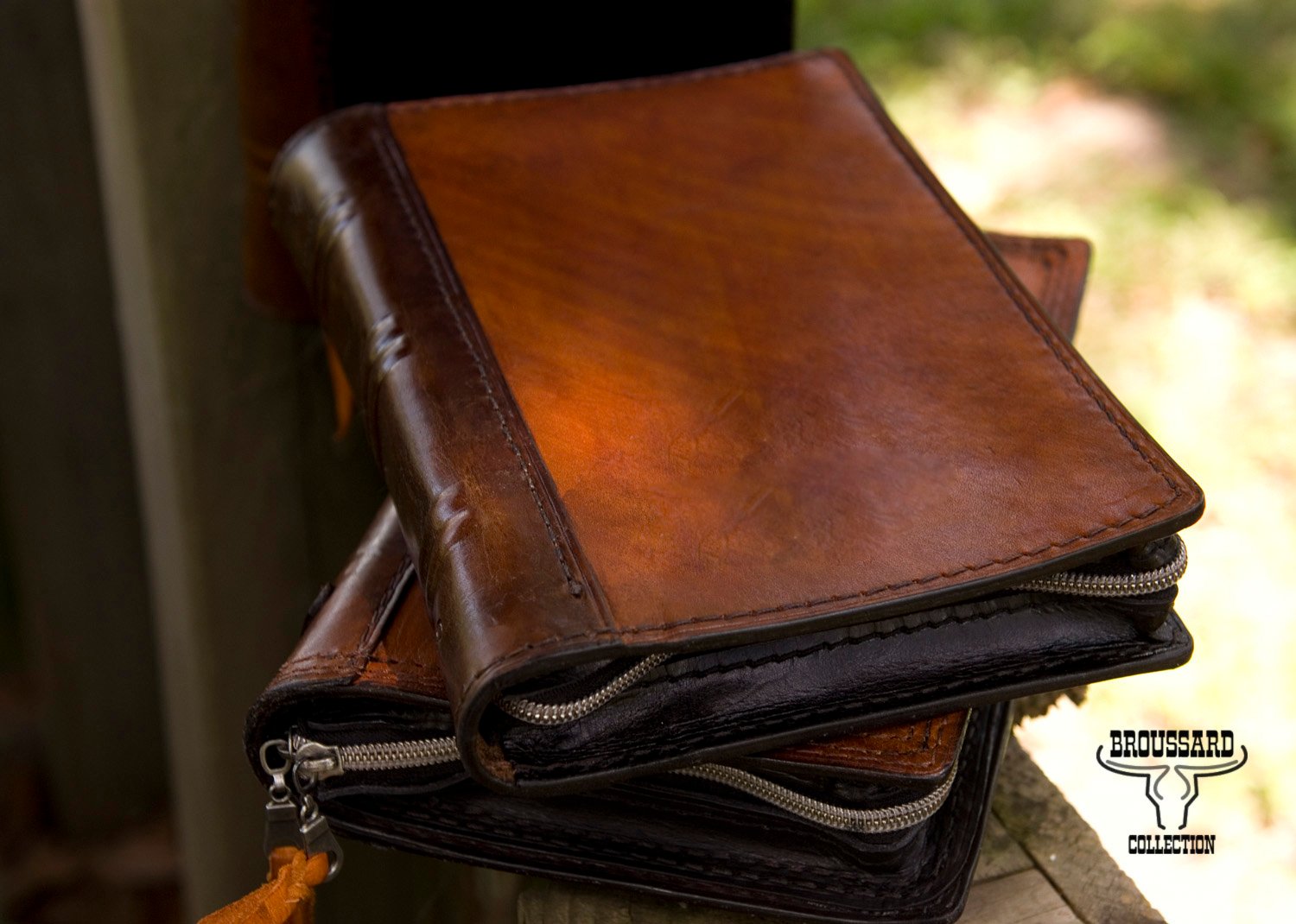 bib0219196601-05 bible