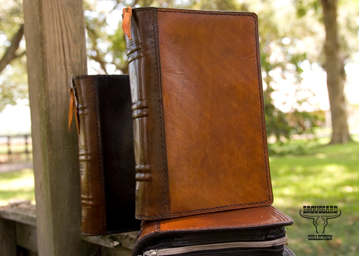 bib0219196601-08 bible