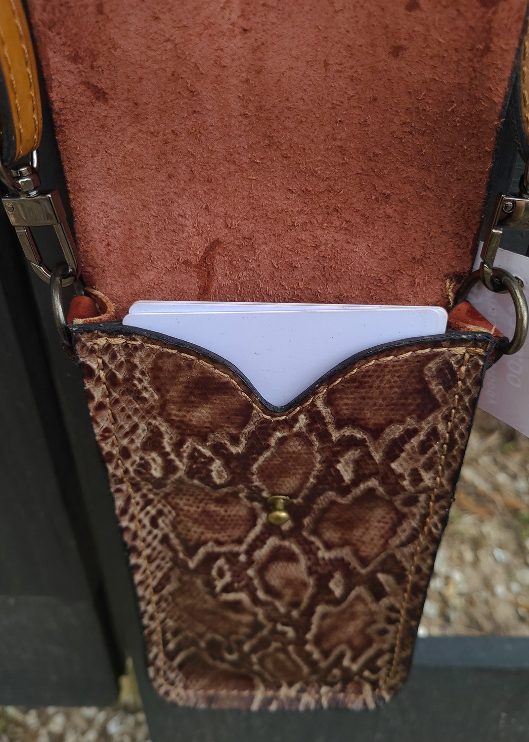 THE BAYOU BELLE – Python Edition - Image 3