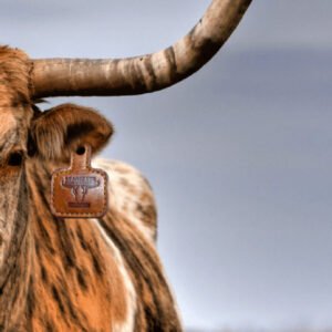 The PickTag™ – Ranch-Born. Stage-Ready.